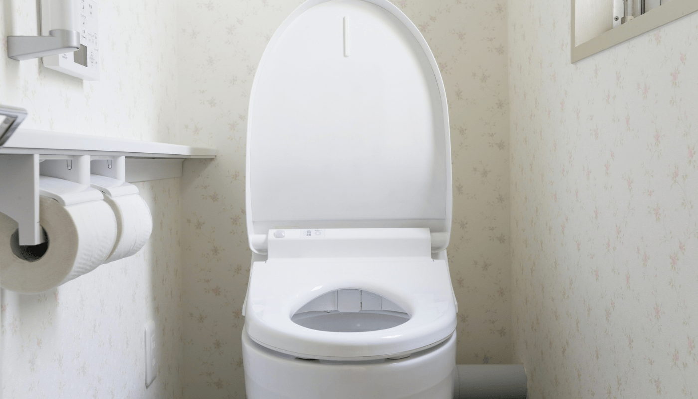regenwater hergebruiken voor het toilet